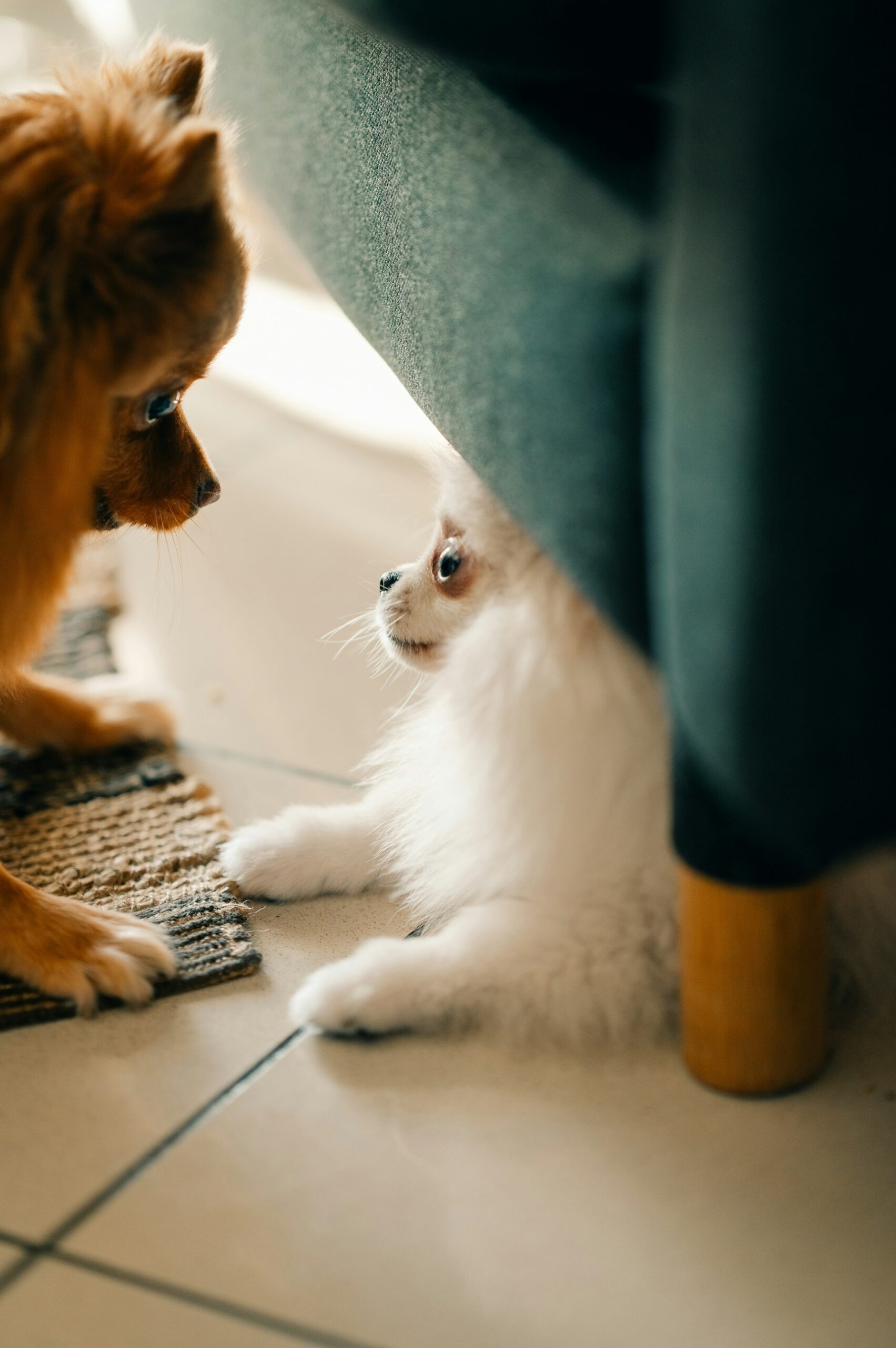 Getting By With a Little Help From Your Friends